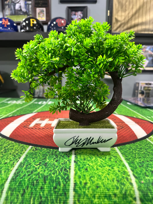 Ralph Macchio " Daniel Larusso " Cobra Kai Bonsai Tree W/ COA PSA