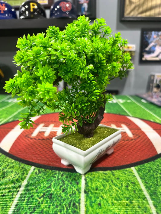 Ralph Macchio " Daniel Larusso " Cobra Kai Bonsai Tree W/ COA PSA